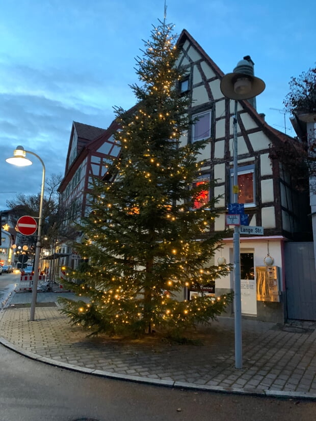 gespendete Weihnachtsbäume