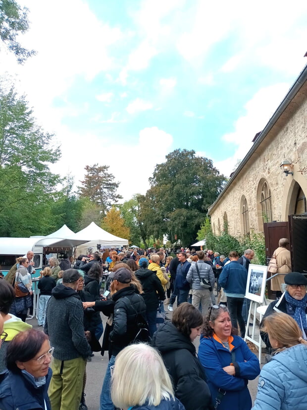 Sehr gut besucht war der Tausendschön Kunstmarkt (Foto: Silas Link)