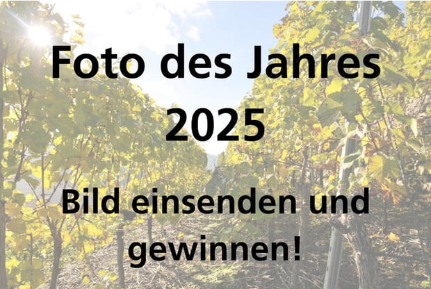 Foto des Jahres 2025