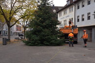 Auf dem Postplatz wird von unserem Bauhof der von der Fa. Schattmann gespendete Baum aufgestellt