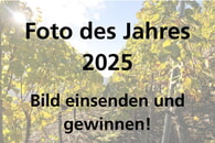 Foto des Jahres 2025