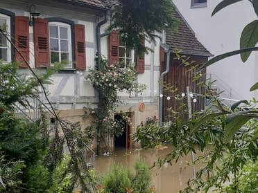 02.06.2024 - Roswitha Fink - Alte Ölmühle mit überflutetem Garten