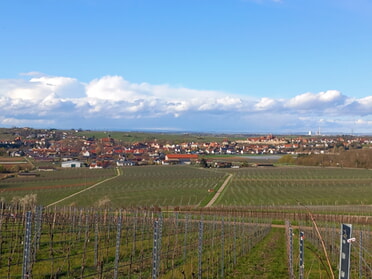 23.03.2024 - Roland Horn - Frühlingsblick über Lauffen a.N.