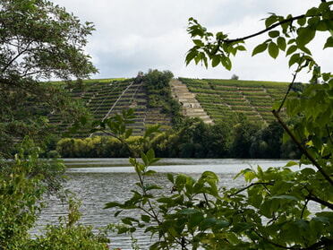 25.08.2024 - Roswitha Demmler - Steillagen am Neckar