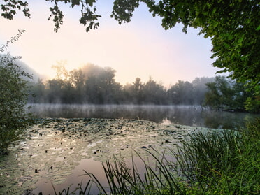 07.09.2024 - Ulrich Seidel - Morgenstimmung am Seeloch