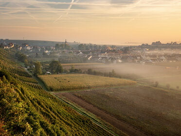 22.09.2024 - Philipp Schwarz - Nebliger Sonnenaufgang über Lauffen a.N.