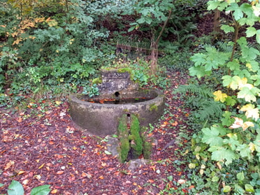 11.10.2024 - Roland Horn - Geheimer Brunnen im Kaywald