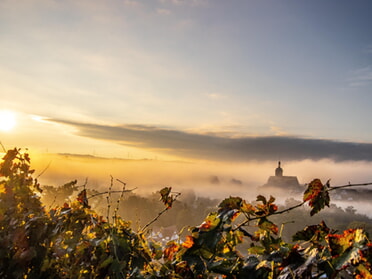 06.10.2024 - Hansjörg Sept - Sonnenaufgang im Nebel über Lauffen a.N.