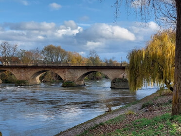 26.11.2024 - Hans-Peter Schwarz - Alte Neckarbrücke und Trauerweiden