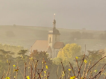 14.10.2024 - Kerstin Fauser - Regiswindiskirche im Nebel