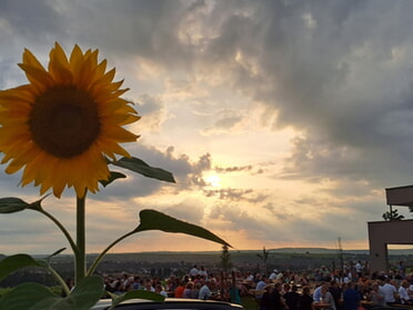 01.08.2024 - Rose Hess - Genießen beim Sundowner