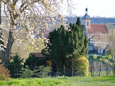 März - Marco Eberbach - Der Frühling erblüht in Lauffen a.N.