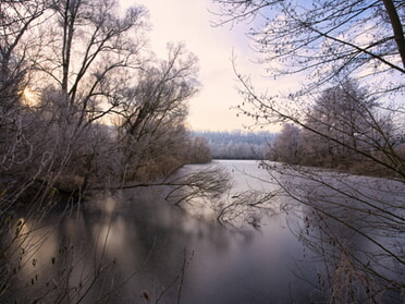 22.01.2025 - Ulrich Seidel - Winterstimmung am Seeloch