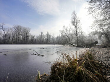 22.01.2025 - Ulrich Seidel - Winterstimmung am Seeloch 2