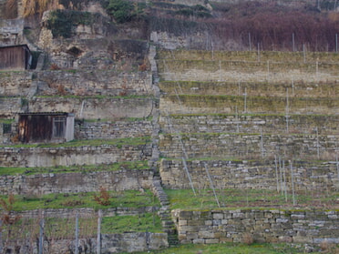 01.01.2025 - Bernhard Müller - Weinberghütten